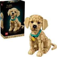 LEGO Icone cucciolo di Golden Retriever, Giochi di costruzione