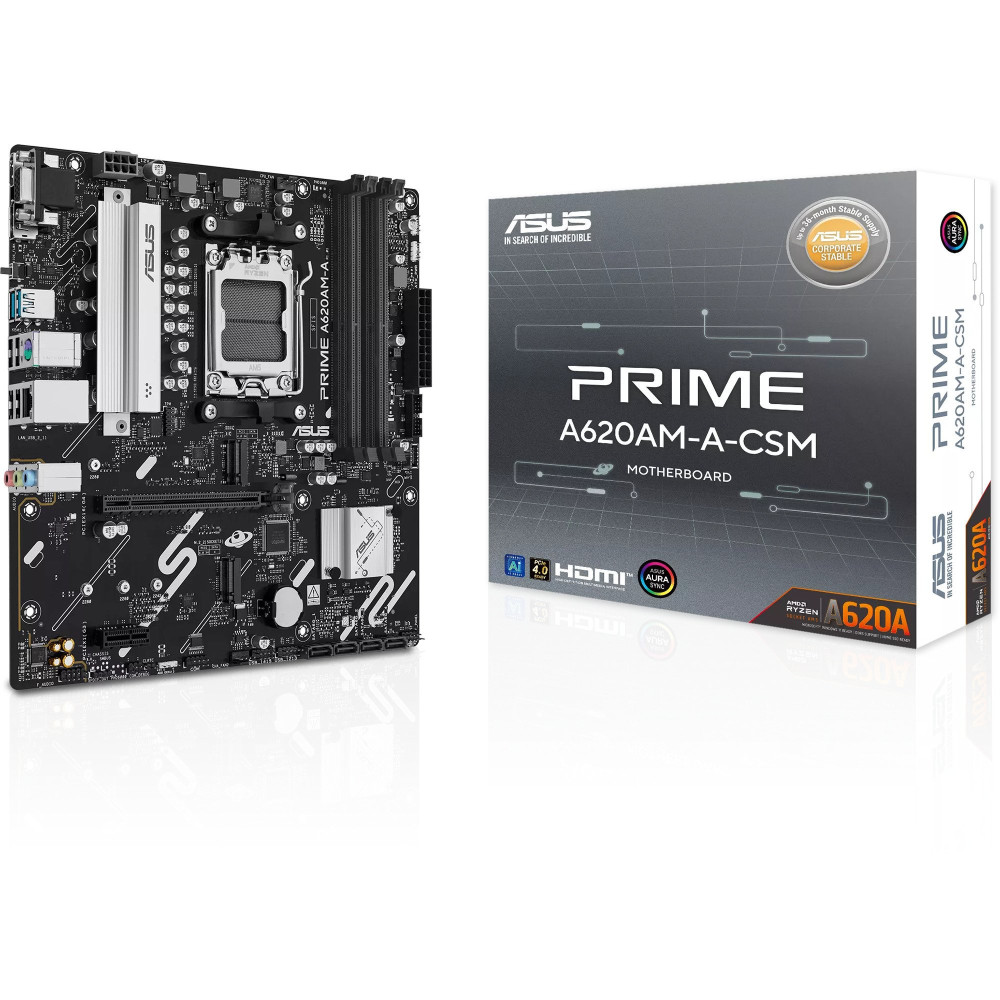 ASUS PRIME A620AM-A-CSM, Scheda madre