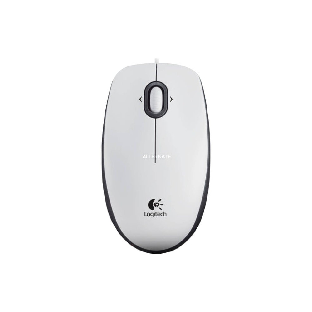 Logitech B100 Optical Usb f/ Bus mouse Ambidestro USB tipo A Ottico 800 DPI