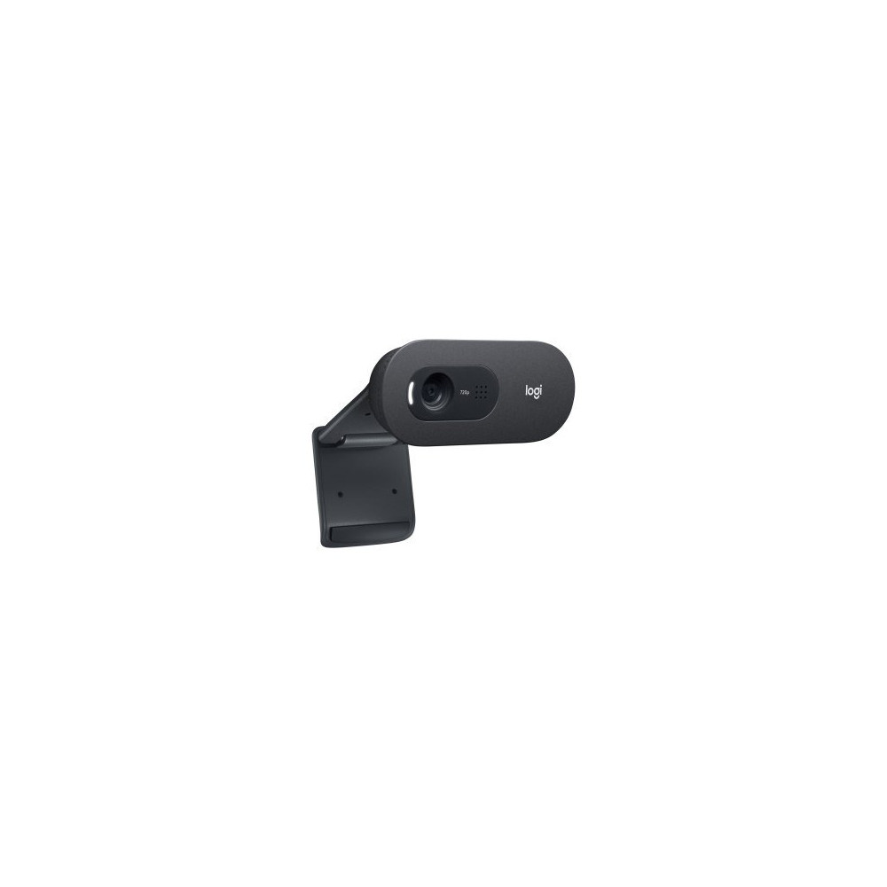 Logitech C505e Webcam