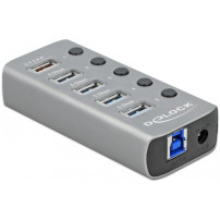 DeLOCK 63262 hub di interfaccia USB 3.2 Gen 1 (3.1 Gen 1) Type-B 5000 Mbit/s Grigio, Hub USB