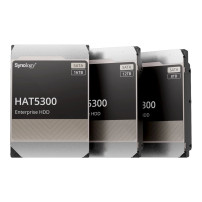 Synology HAT5300 - Disco rigido - 12 TB - interno - 3,5" (8,9 cm)