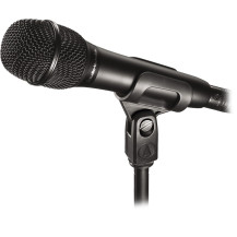 Audio-Technica AT2010, Microfono