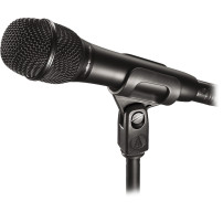 Audio-Technica AT2010, Microfono