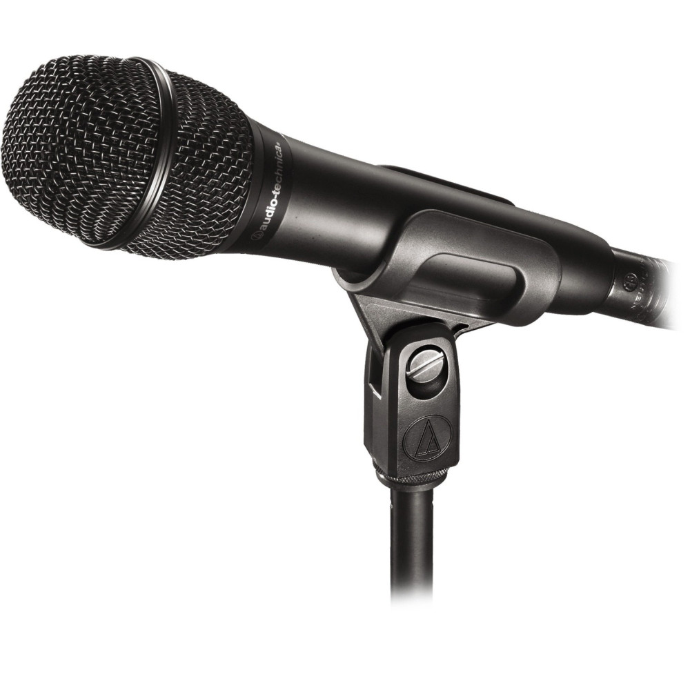 Audio-Technica AT2010, Microfono
