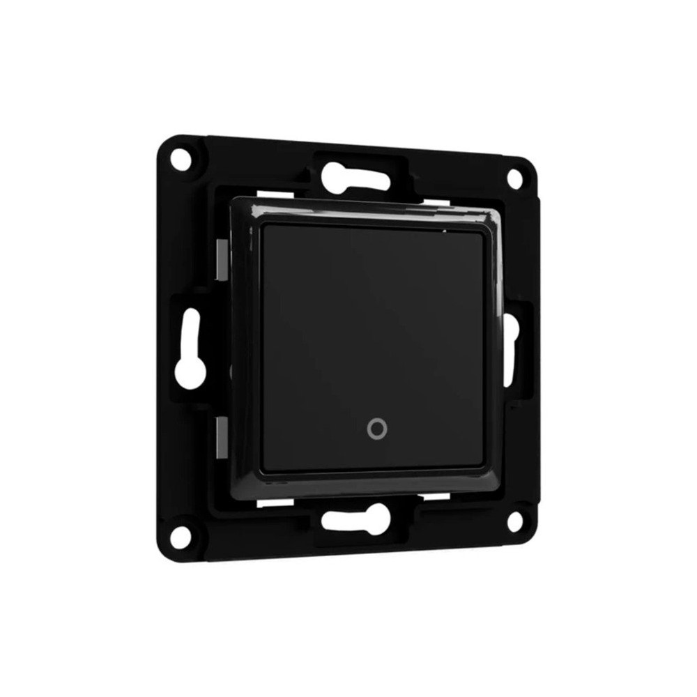 Shelly Wall Switch 1, Pulsante