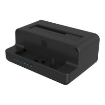 ICY BOX IB-2914MSCL-C31 - HDD / SSD Docking station - 2,5″ / 3,5″ condiviso, M.2 (6,4 cm/8,9 cm condiviso)