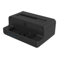 ICY BOX IB-2914MSCL-C31 - HDD / SSD Docking station - 2,5″ / 3,5″ condiviso, M.2 (6,4 cm/8,9 cm condiviso)