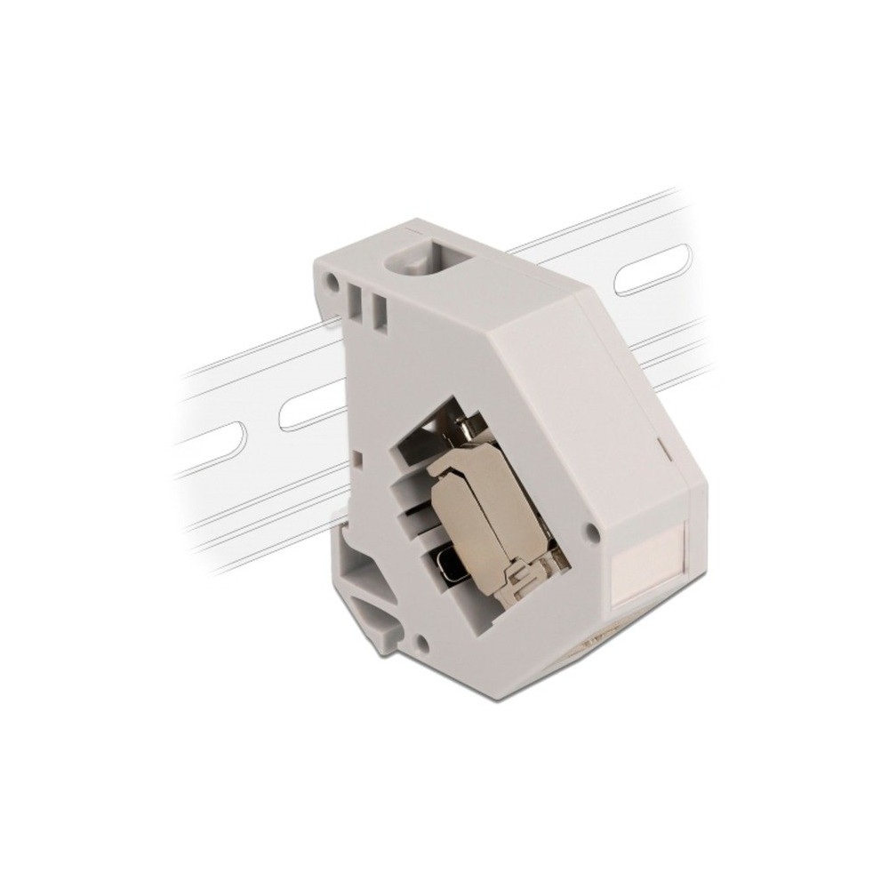 DeLOCK Adattatore su guida DIN con modulo Keystone RJ-45 > Cat.6a LSA, Modulo di Keystone