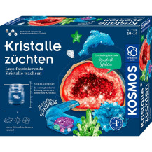 KOSMOS Coltivare cristalli, Casella di esperimento
