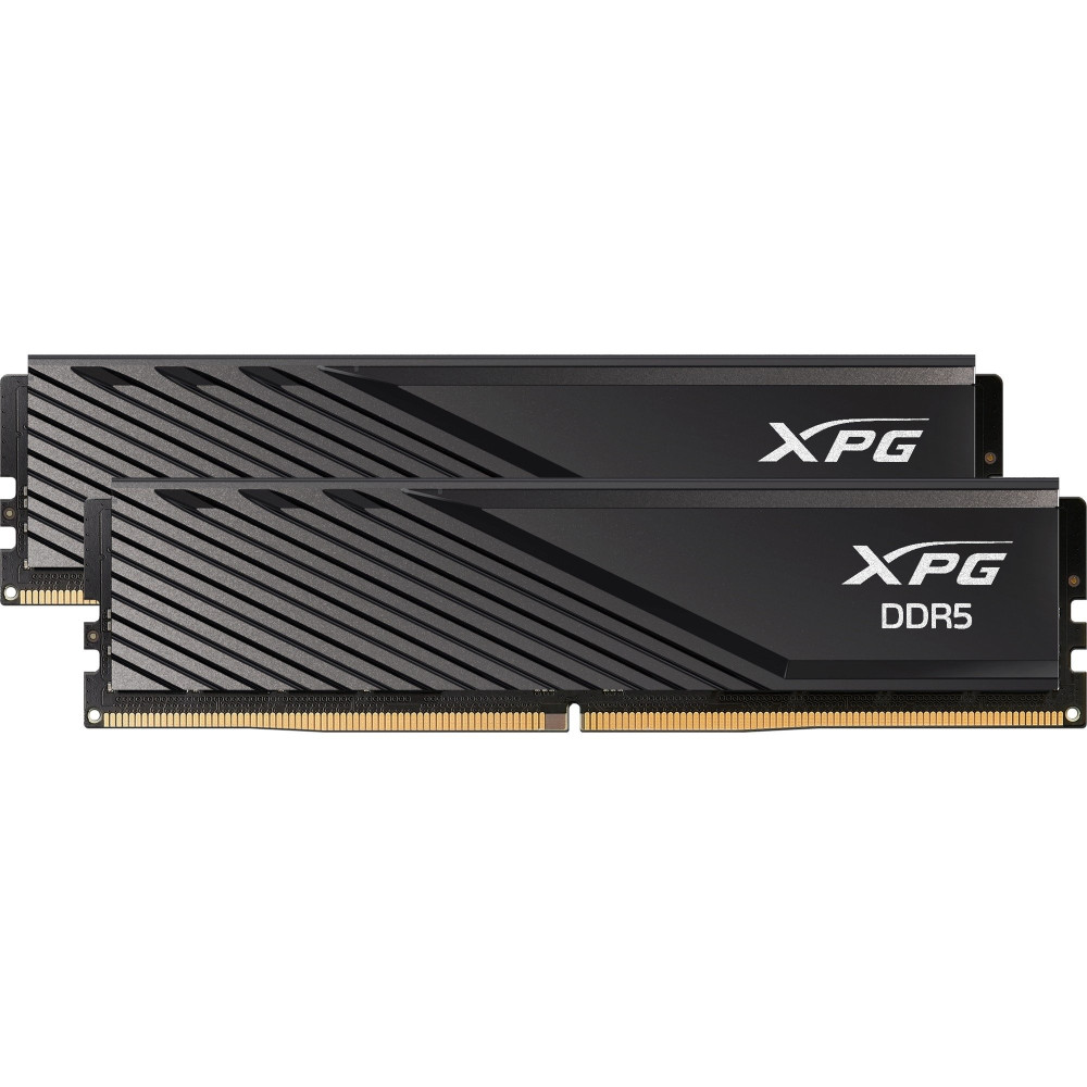 ADATA DIMM 32 GB DDR5-5600 (2x 16 GB) Dual-Kit, Memoria