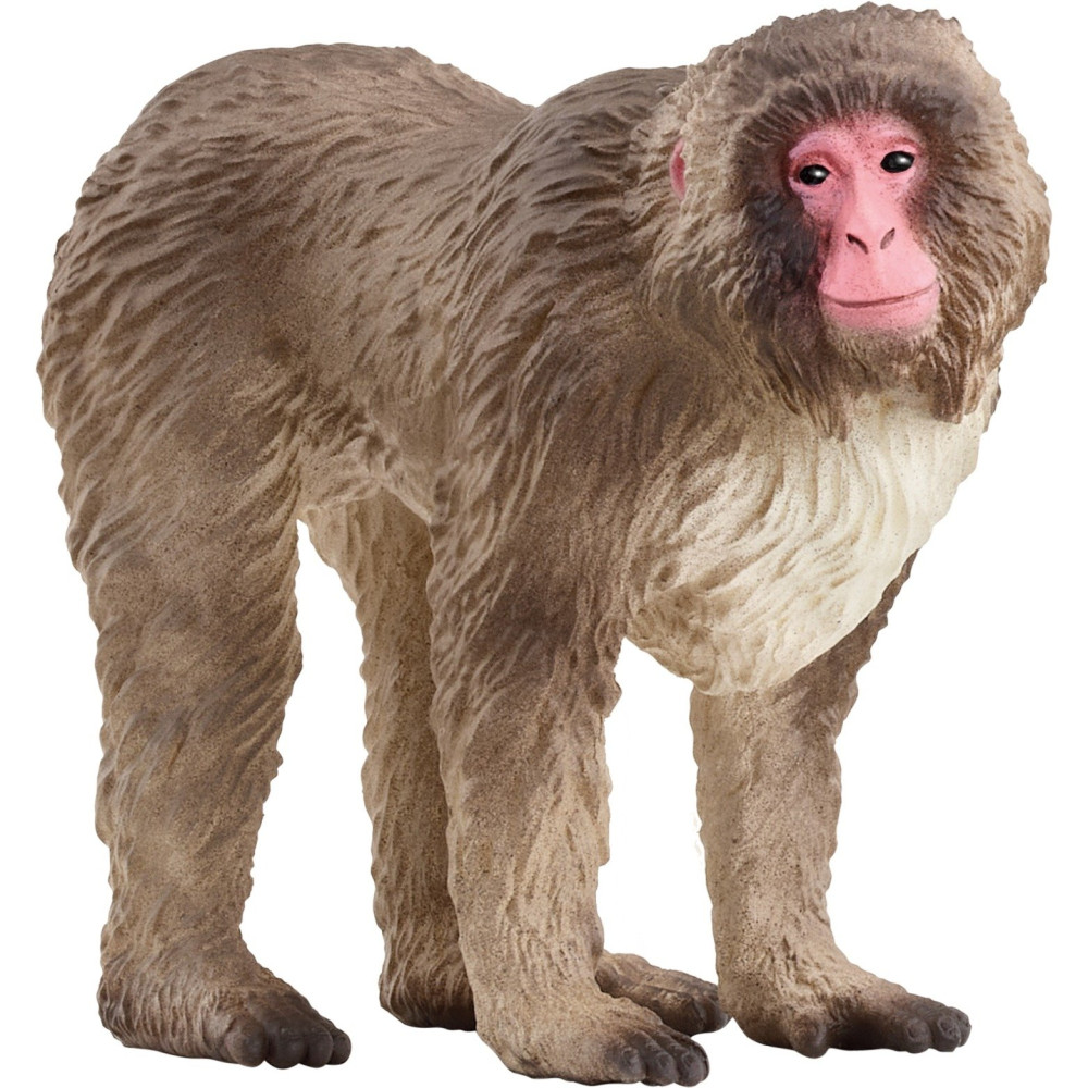 Schleich WILD LIFE 14871 action figure giocattolo, Gioco figura