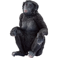 Schleich WILD LIFE 14875 action figure giocattolo, Gioco figura