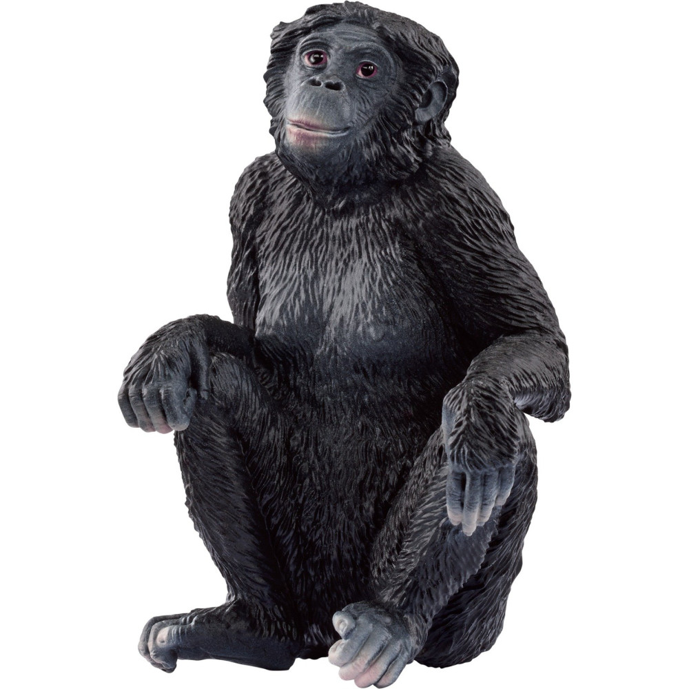 Schleich WILD LIFE 14875 action figure giocattolo, Gioco figura