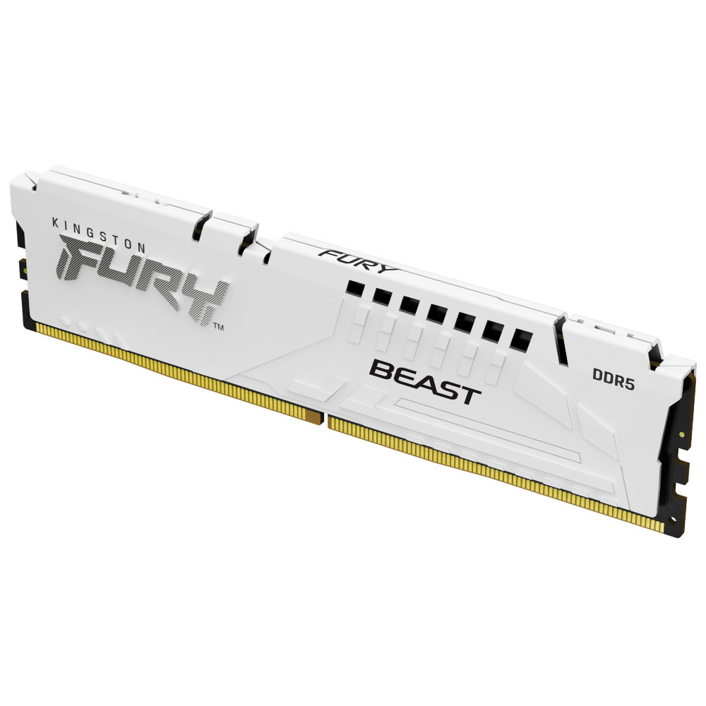 Kingston FURY Beast - DDR5 - Modulo - 16 GB
