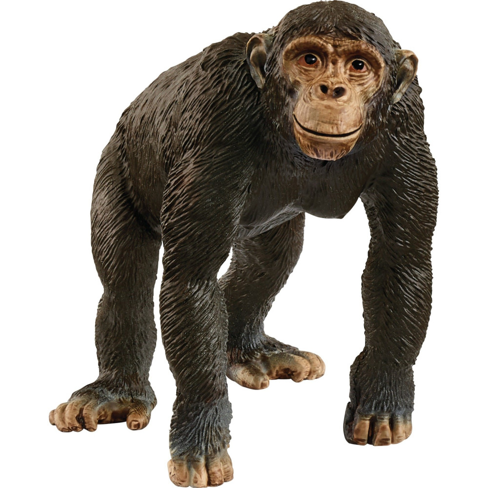 Schleich WILD LIFE 14883 action figure giocattolo, Gioco figura