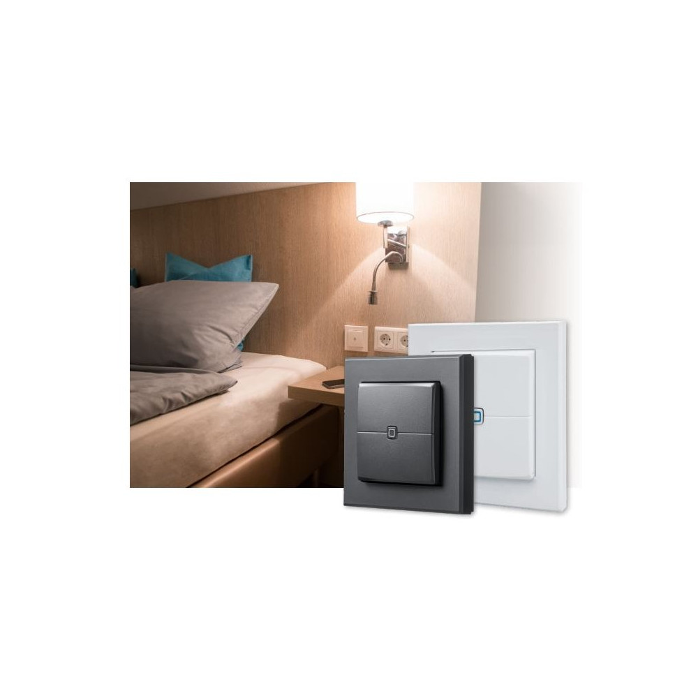 eQ-3 AG Homematic IP HmIP-WRC2-A-2, senza fili, RF Wireless, antrozzite, parete, 868-868,6 / 869,4-869,65 MHz, pulsanti